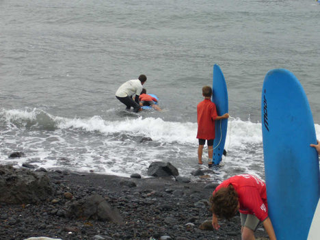 Curso de verano 2010